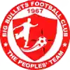 大子弹
